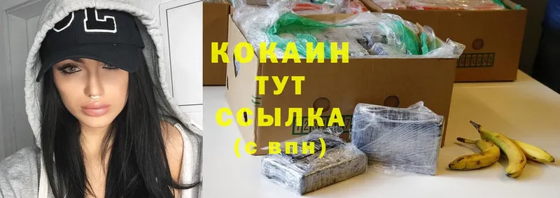 где продают наркотики  Зуевка  Cocaine Эквадор 